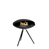 Black, Black, Black Oak 