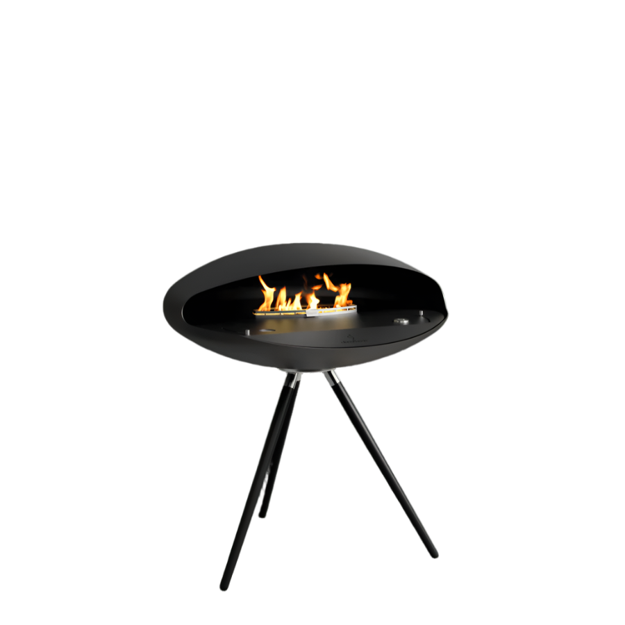 Black, Black, Black Oak 